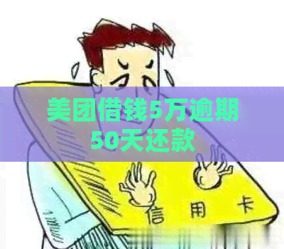 美团借钱5万逾期50天还款