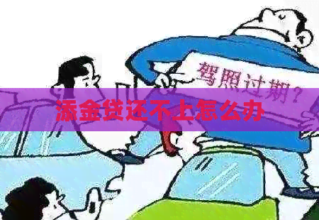 添金贷还不上怎么办