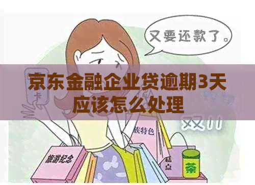京东金融企业贷逾期3天应该怎么处理
