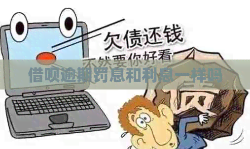 信用卡逾期罚息和利息一样吗