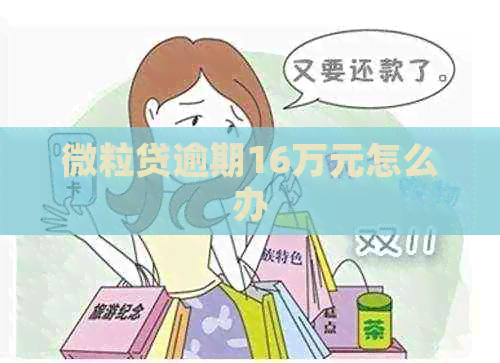微粒贷逾期16万元怎么办