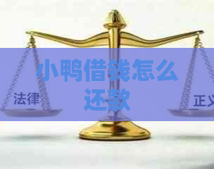 小鸭借钱怎么还款