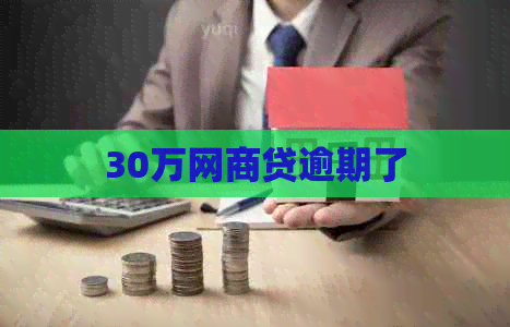 30万白条贷逾期了