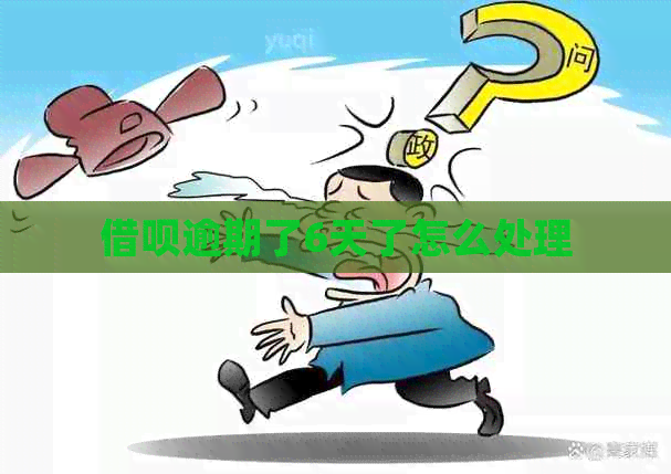 信用卡逾期了6天了怎么处理