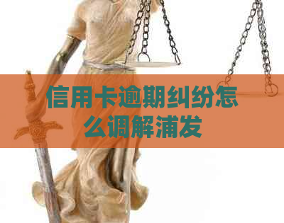 信用卡逾期纠纷怎么调解浦发