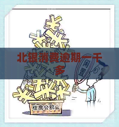 北银消费逾期一千多