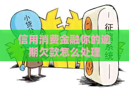 信用消费金融你的逾期欠款怎么处理