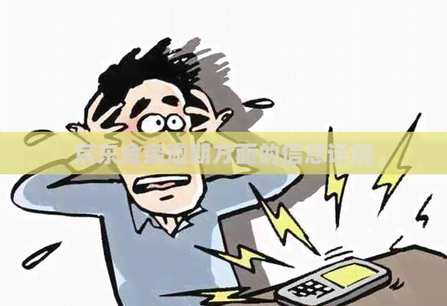 京东金条逾期方面的信息详解