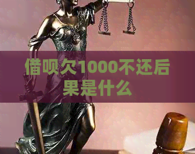信用卡欠1000不还后果是什么