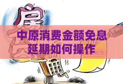 中原消费金额免息延期如何操作