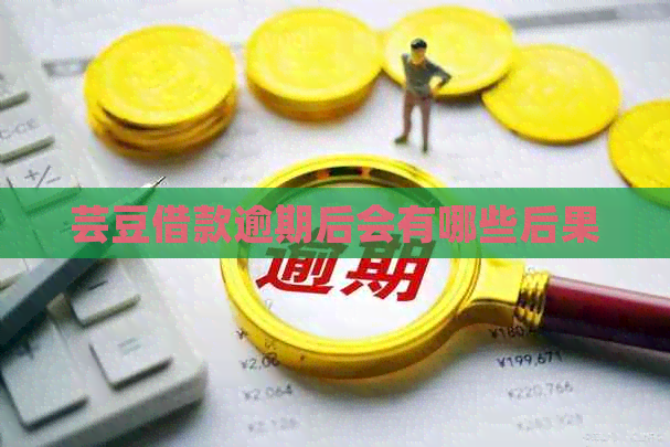 芸豆借款逾期后会有哪些后果