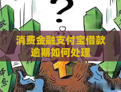 消费金融信用卡借款逾期如何处理