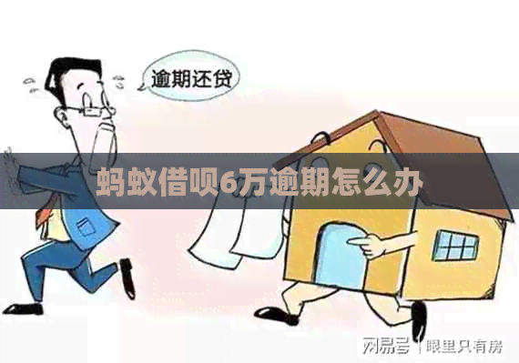 蚂蚁信用卡6万逾期怎么办