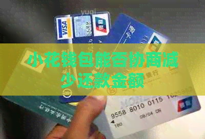 小花钱包能否协商减少还款金额