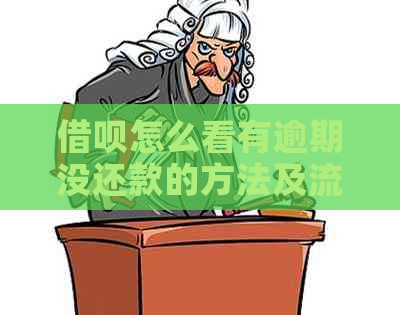 信用卡怎么看有逾期没还款的方法及流程