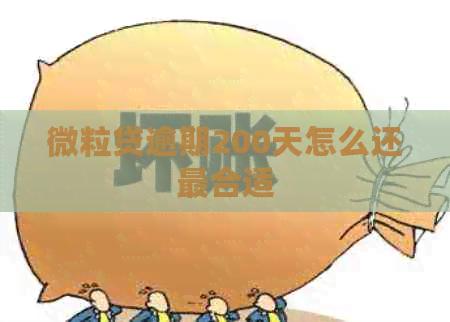 微粒贷逾期200天怎么还最合适