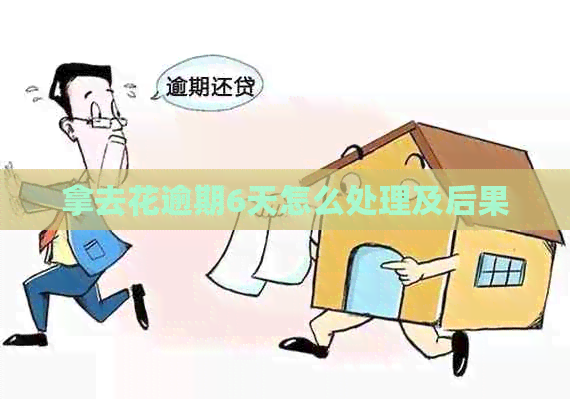 拿去花逾期6天怎么处理及后果