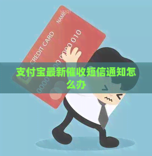 信用卡最新短信通知怎么办