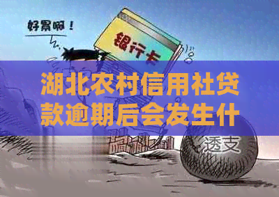 湖北农村信用社贷款逾期后会发生什么