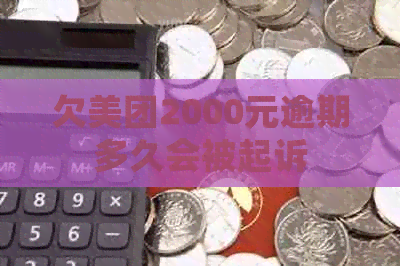 欠美团2000元逾期多久会被起诉