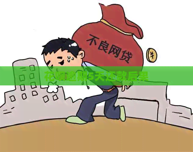 白条逾期5天还款后果