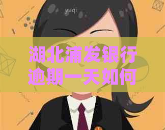 湖北浦发银行逾期一天如何处理