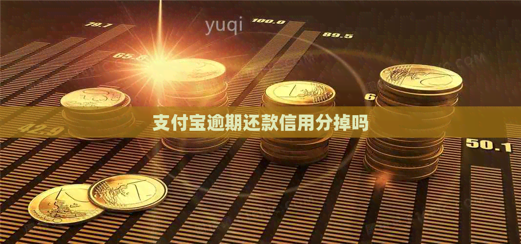 信用卡逾期还款信用分掉吗