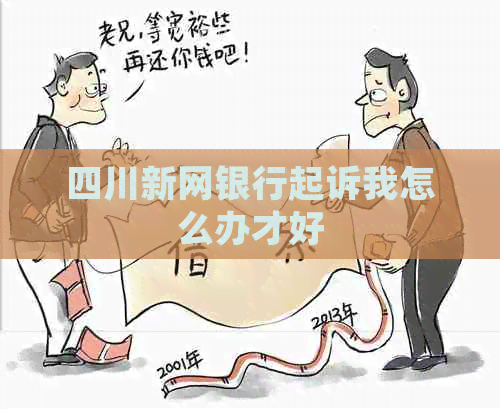 四川新网银行起诉我怎么办才好