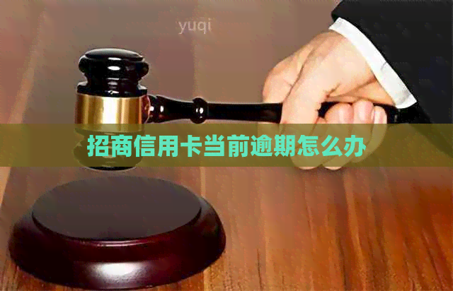 招商信用卡当前逾期怎么办
