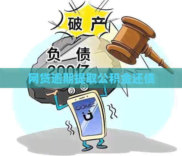 网贷逾期提取公积金还债