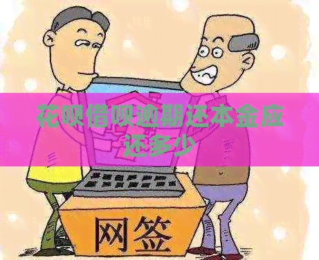 白条信用卡逾期还本金应还多少