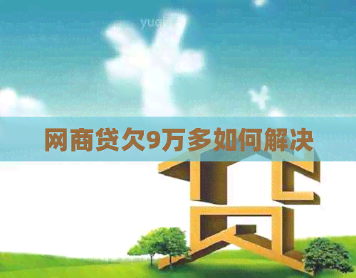 白条贷欠9万多如何解决