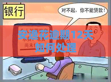 安逸花逾期12天如何处理