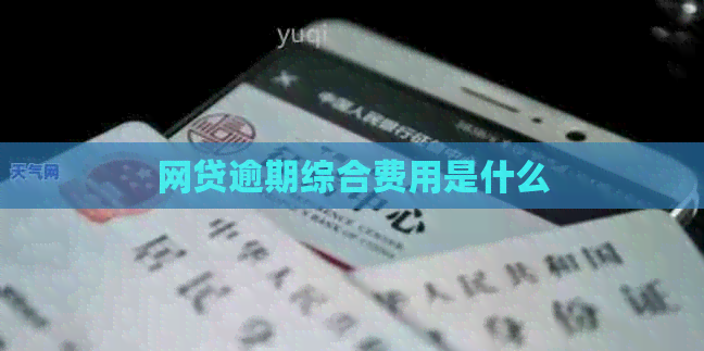 网贷逾期综合费用是什么