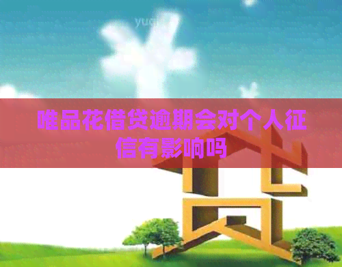 唯品花借贷逾期会对个人有影响吗