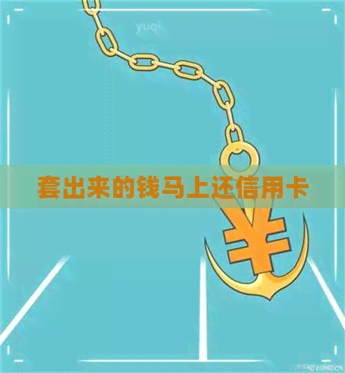套出来的钱马上还信用卡