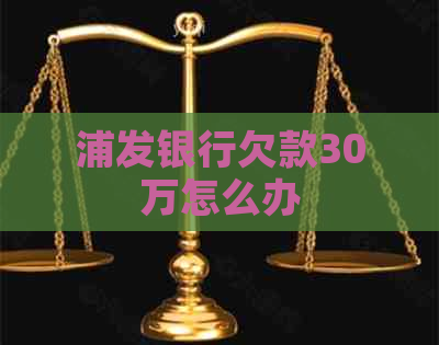 浦发银行欠款30万怎么办