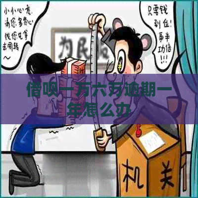 信用卡一万六万逾期一年怎么办