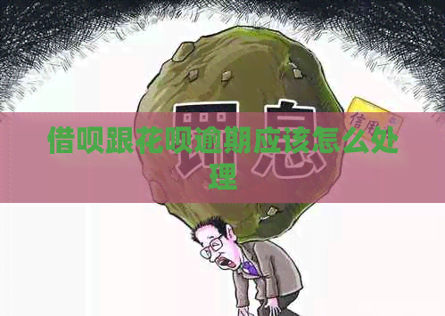 信用卡跟白条逾期应该怎么处理