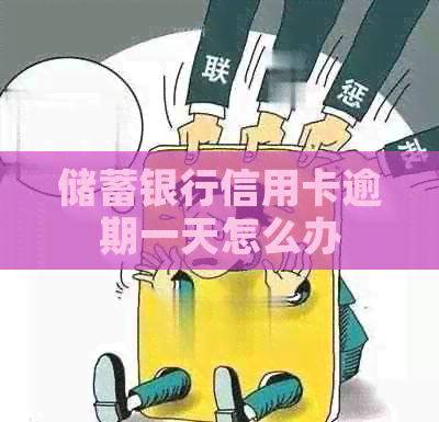 储蓄银行信用卡逾期一天怎么办