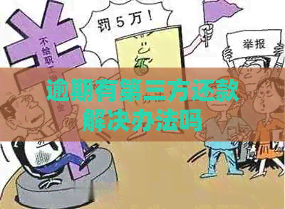 逾期有第三方还款解决办法吗