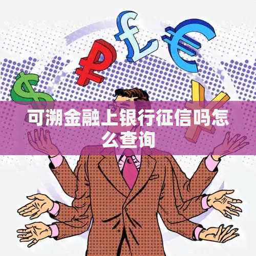 可溯金融上银行吗怎么查询