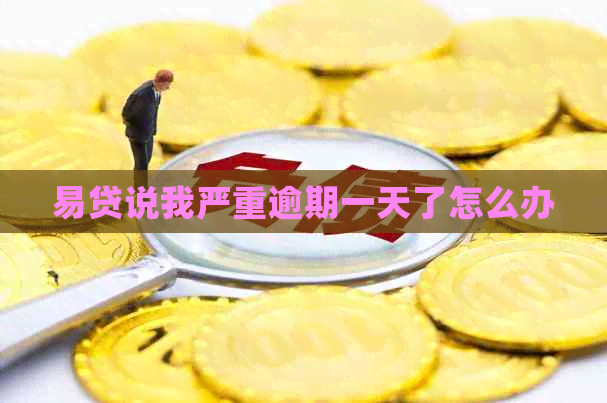 易贷说我严重逾期一天了怎么办