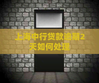 上海中行贷款逾期2天如何处理