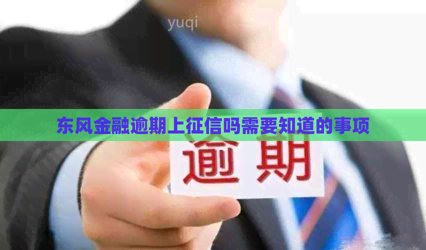 东风金融逾期上吗需要知道的事项