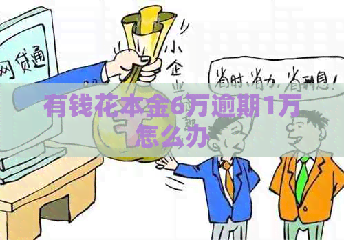 有钱花本金6万逾期1万怎么办