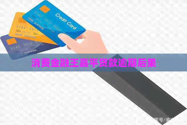 消费金融王嘉平贷款逾期后果