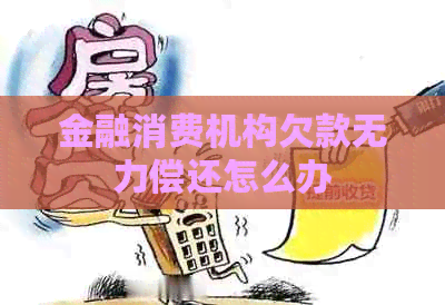 金融消费机构欠款无力偿还怎么办