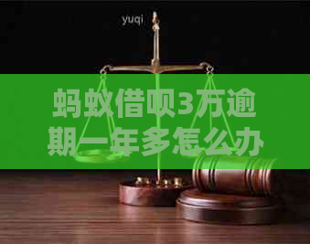 蚂蚁信用卡3万逾期一年多怎么办