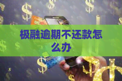 极融逾期不还款怎么办